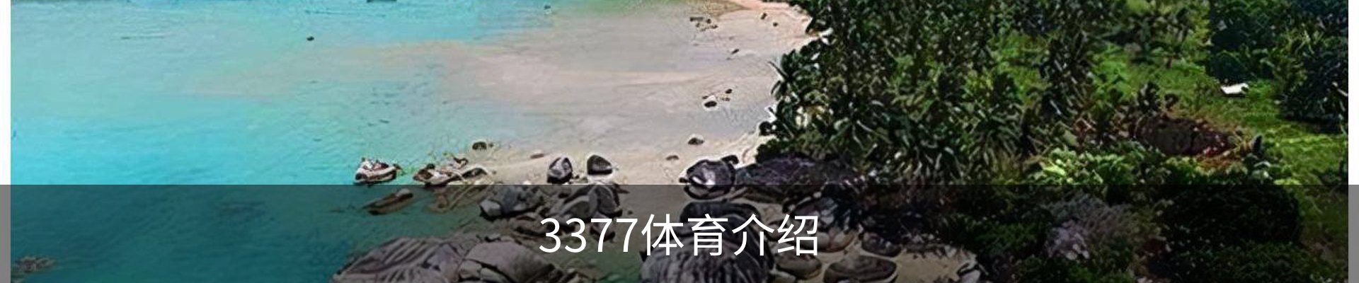 3377体育介绍